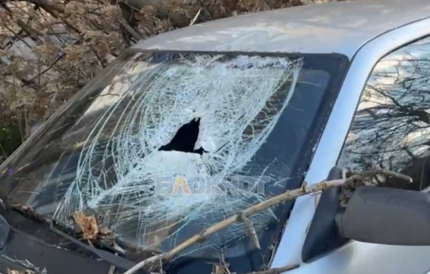 Падение дерева на автомобиль в Шахтах: ещё один случай бездействия властей