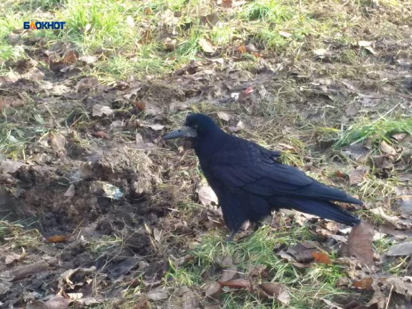 Совсем не по-февральски тепло будет днем в среду