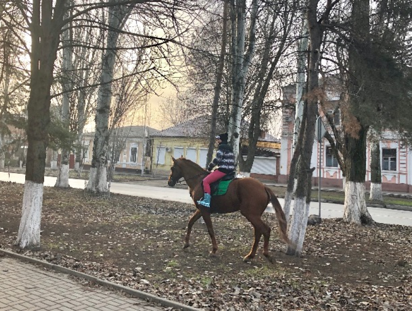 Новый год не мчится?: в Шахтах по-прежнему плюс