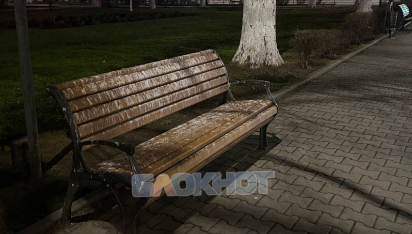 Лавочки в Шахтах стали местом, где голуби устроили себе общественный туалет