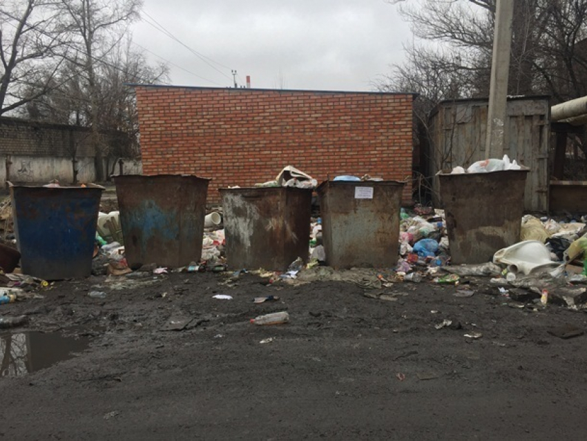 Труп младенца, найденный в мусорном баке в Шахтах, оказался доношенной девочкой, весом почти 4 кг