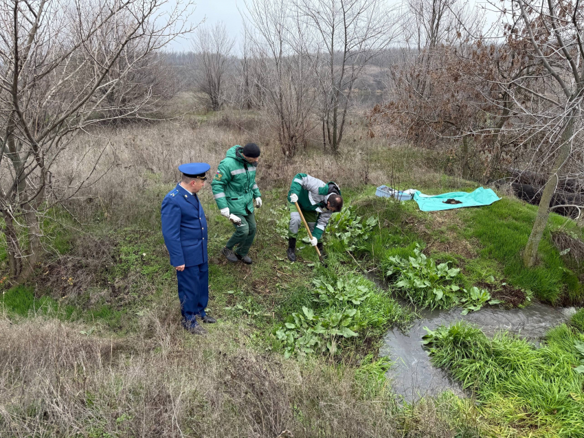 Прокуратура и Росприроднадзор проверяют сброс сточных вод в реку Грушевка 