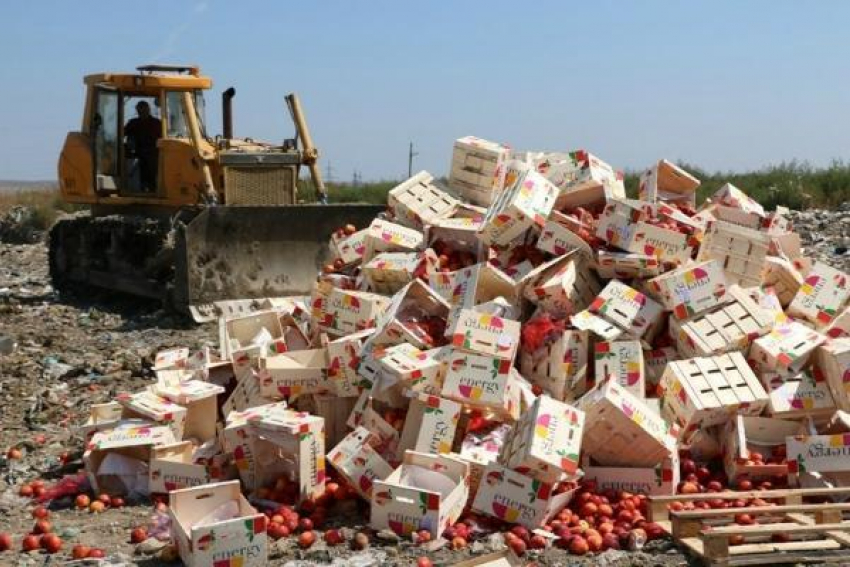 Парламентарии наконец-то предложили раздавать санкционные продукты малоимущим гражданам