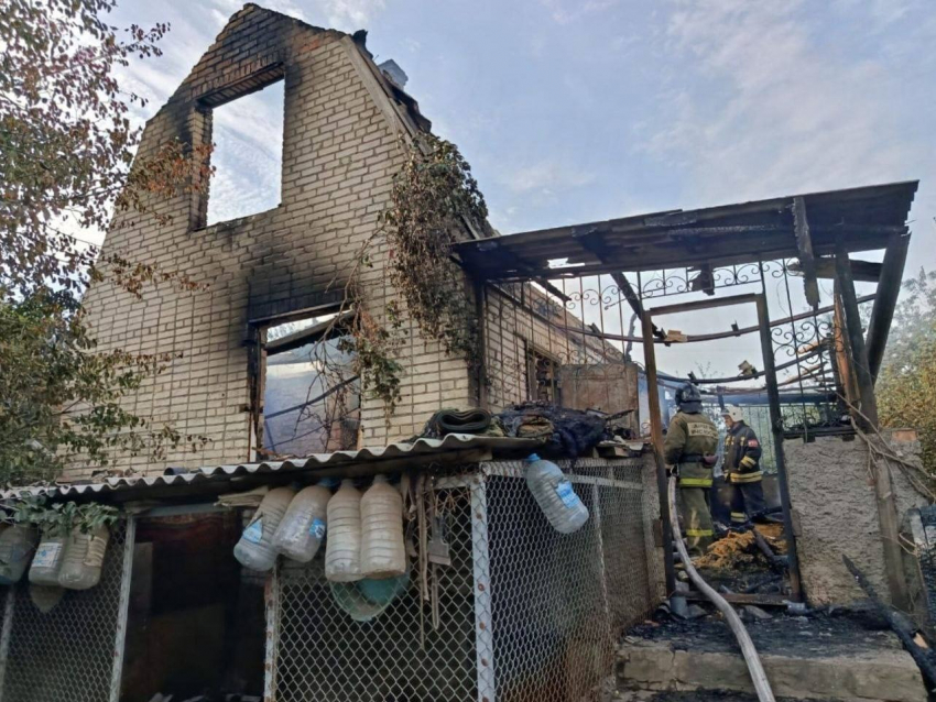 При пожаре в приюте погибла часть животных, а хозяйка пострадала