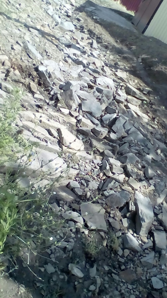 2017-07-30 рр01.jpg